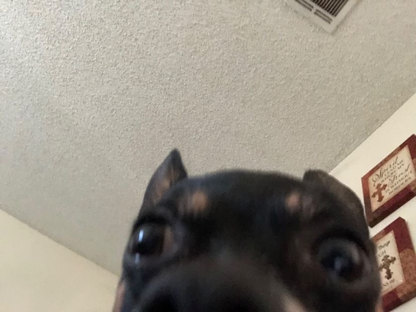 yuh Blank Meme Template