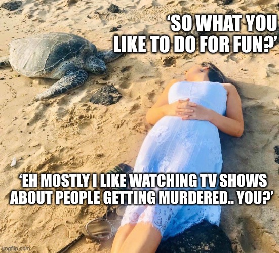 True crime | ‘SO WHAT YOU LIKE TO DO FOR FUN?’; ‘EH MOSTLY I LIKE WATCHING TV SHOWS ABOUT PEOPLE GETTING MURDERED.. YOU?’ | image tagged in giant turtle,emma reid,funny memes,banbaleigh,true crime,murder | made w/ Imgflip meme maker