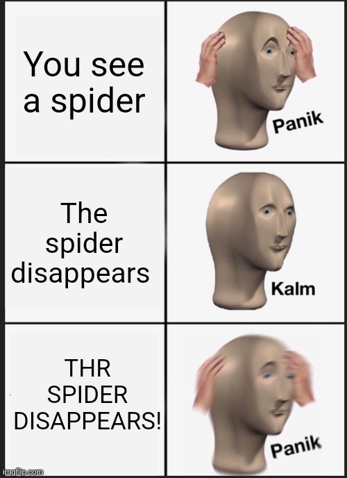 Panik Kalm Panik Meme | You see a spider; The spider disappears; THR SPIDER DISAPPEARS! | image tagged in memes,panik kalm panik | made w/ Imgflip meme maker