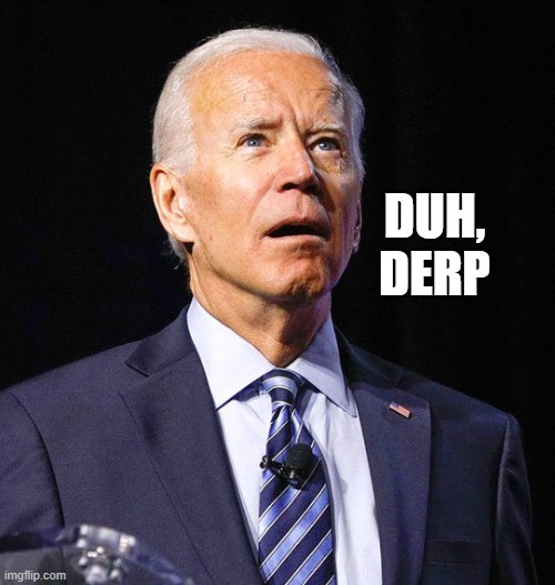 Joe Biden | DUH, DERP | image tagged in joe biden | made w/ Imgflip meme maker