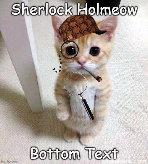 Shelok Homs |  Sherlock Holmeow; Bottom Text | image tagged in memes,cute cat | made w/ Imgflip meme maker