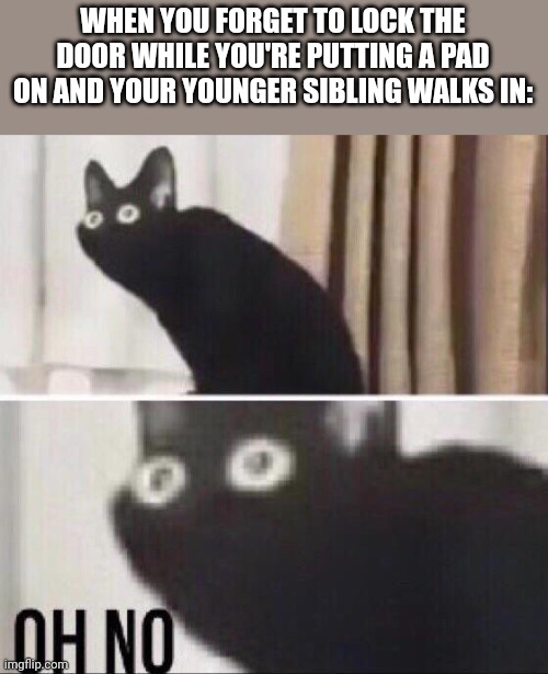 Oh no cat | WHEN YOU FORGET TO LOCK THE DOOR WHILE YOU'RE PUTTING A PAD ON AND YOUR YOUNGER SIBLING WALKS IN: | image tagged in oh no cat | made w/ Imgflip meme maker