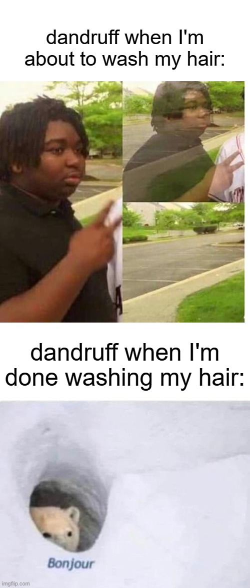 idk if this happens to anyone else | dandruff when I'm about to wash my hair:; dandruff when I'm done washing my hair: | image tagged in bonjour | made w/ Imgflip meme maker