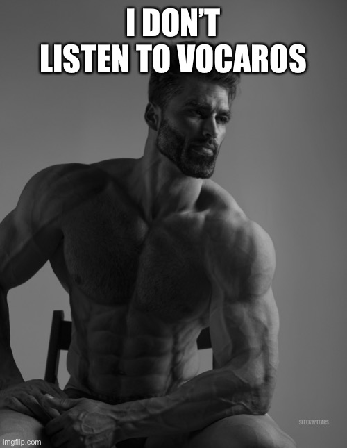 Giga Chad | I DON’T LISTEN TO VOCAROS | image tagged in giga chad | made w/ Imgflip meme maker