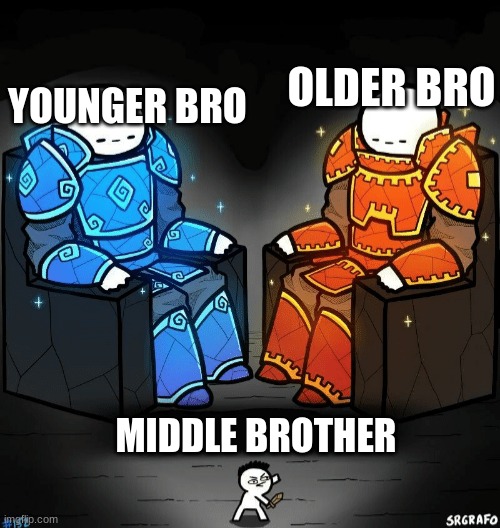 my life | YOUNGER BRO; OLDER BRO; MIDDLE BROTHER | image tagged in two giants looking at a small guy | made w/ Imgflip meme maker