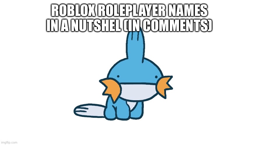 ROBLOX ROLEPLAYER NAMES IN A NUTSHEL (IN COMMENTS) | made w/ Imgflip meme maker