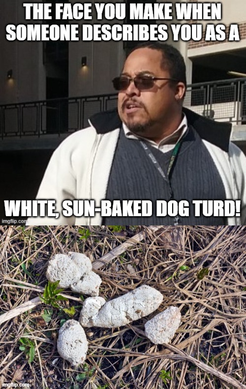 Matthew Thompson | THE FACE YOU MAKE WHEN SOMEONE DESCRIBES YOU AS A; WHITE, SUN-BAKED DOG TURD! | image tagged in matthew thompson,reynolds community college,dog turd,nasty,worthless | made w/ Imgflip meme maker