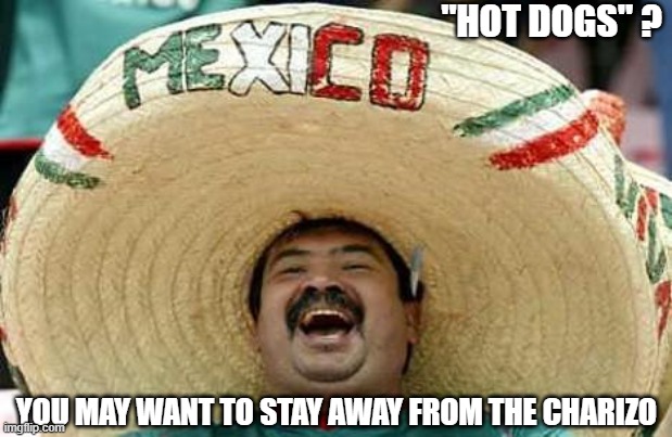 Mexico | "HOT DOGS" ? YOU MAY WANT TO STAY AWAY FROM THE CHARIZO | image tagged in mexico | made w/ Imgflip meme maker