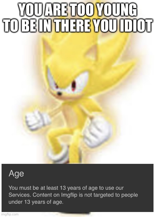 Low quality super sonic | YOU ARE TOO YOUNG TO BE IN THERE YOU IDIOT | image tagged in low quality super sonic | made w/ Imgflip meme maker