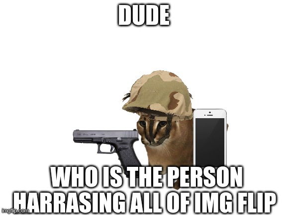 who is it | DUDE; WHO IS THE PERSON HARRASING ALL OF IMG FLIP | image tagged in blank white template | made w/ Imgflip meme maker