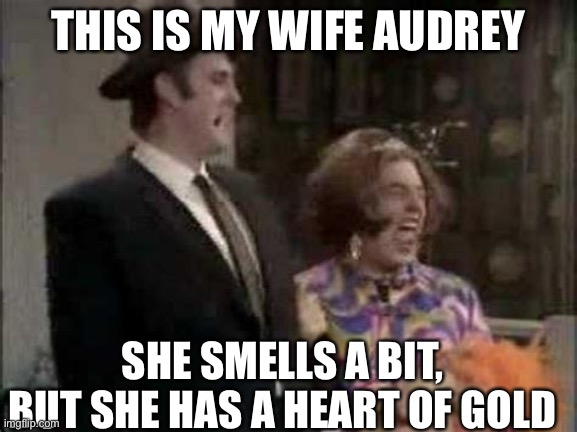 THIS IS MY WIFE AUDREY; SHE SMELLS A BIT, BUT SHE HAS A HEART OF GOLD | made w/ Imgflip meme maker