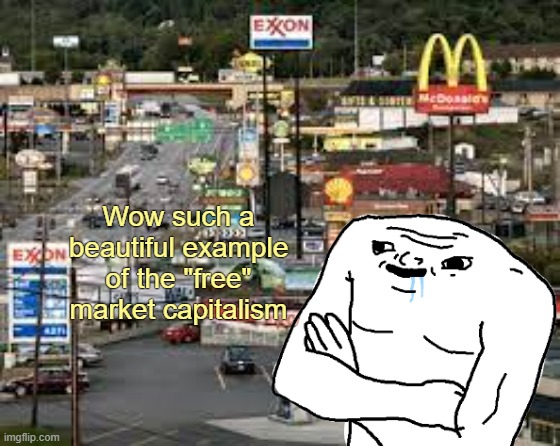 Dumb government policies and heavily subsidized car infrastructure | Wow such a beautiful example of the "free" market capitalism | image tagged in rmk,wojak | made w/ Imgflip meme maker