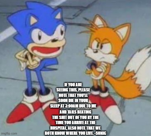 tails and sonic | IF YOU ARE SEEING THIS, PLEASE NOTE THAT YOU'LL SOON DIE IN YOUR SLEEP AT 3:00AM DUE TO ME; AND TAILS BEATING THE SHIT OUT OF YOU BY THE TIME YOU ARRIVE AT THE HOSPITAL, ALSO NOTE THAT WE BOTH KNOW WHERE YOU LIVE. -SONIC | image tagged in tails and sonic | made w/ Imgflip meme maker
