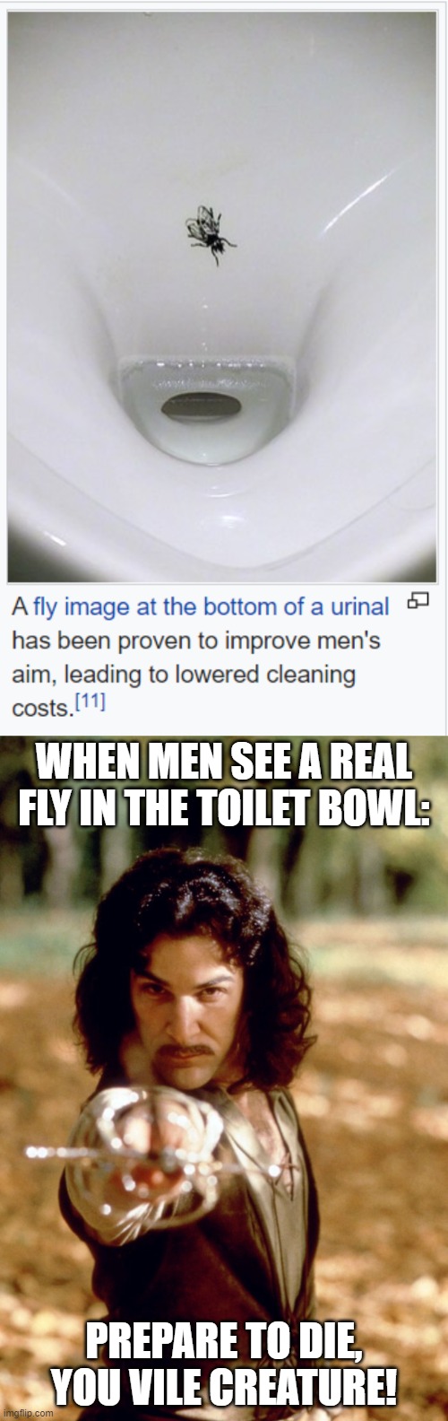 nudge theory | WHEN MEN SEE A REAL FLY IN THE TOILET BOWL:; PREPARE TO DIE, YOU VILE CREATURE! | image tagged in prepare to die,training,memes,funny memes | made w/ Imgflip meme maker