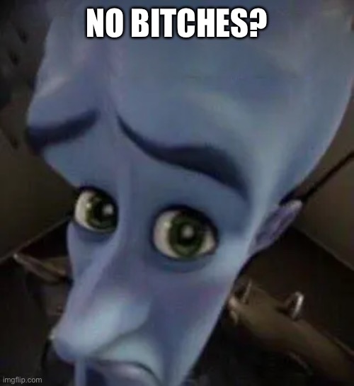 No bitches? | NO BITCHES? | image tagged in megamind no b | made w/ Imgflip meme maker