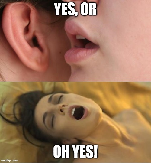 Whisper orgasm | YES, OR OH YES! | image tagged in whisper orgasm | made w/ Imgflip meme maker