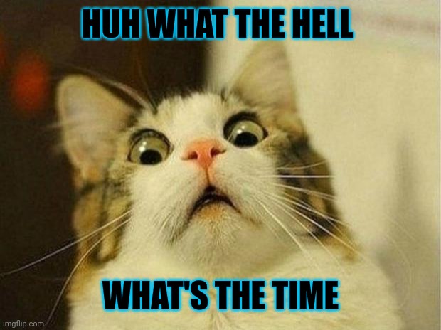 Huh What Time Is It? | HUH WHAT THE HELL; WHAT'S THE TIME | image tagged in memes,scared cat | made w/ Imgflip meme maker