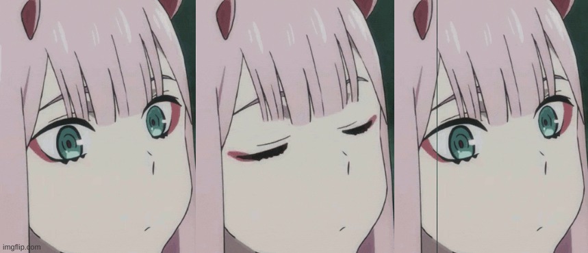 blinking zero two | image tagged in blinking zero two | made w/ Imgflip meme maker