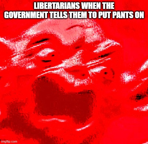VERY LOUD SCREAMING | LIBERTARIANS WHEN THE GOVERNMENT TELLS THEM TO PUT PANTS ON | image tagged in very loud screaming | made w/ Imgflip meme maker