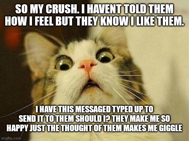 Should I? I really want to but i dont wanna make it awkward between us | SO MY CRUSH. I HAVENT TOLD THEM HOW I FEEL BUT THEY KNOW I LIKE THEM. I HAVE THIS MESSAGED TYPED UP TO SEND IT TO THEM SHOULD I? THEY MAKE ME SO HAPPY JUST THE THOUGHT OF THEM MAKES ME GIGGLE | image tagged in memes,scared cat,lesbians,pan | made w/ Imgflip meme maker
