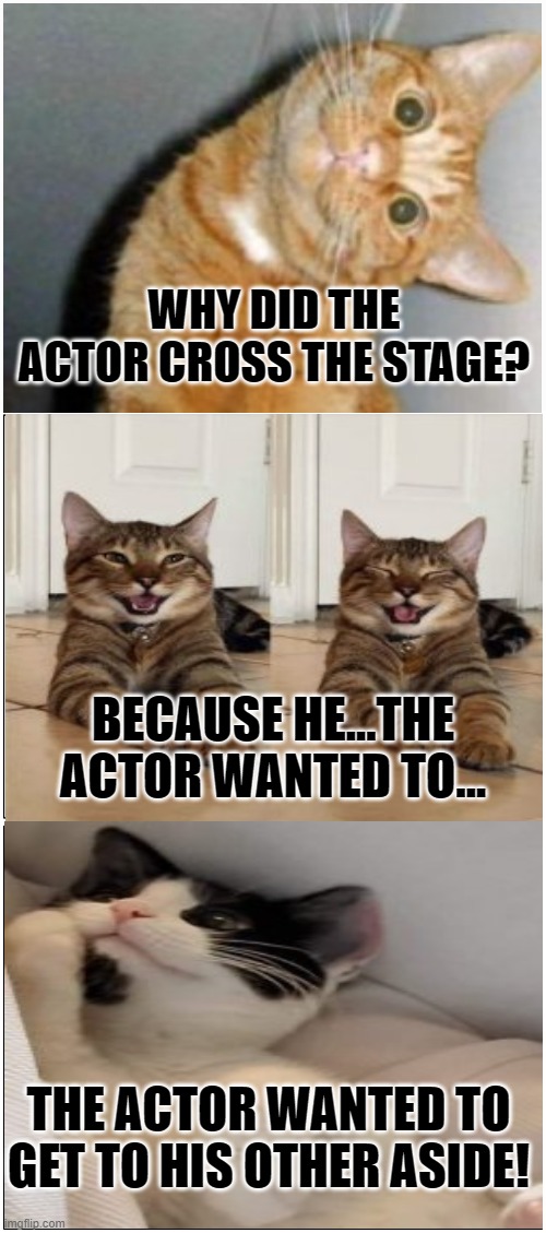 Bad Pun Cat 3 | WHY DID THE ACTOR CROSS THE STAGE? BECAUSE HE...THE ACTOR WANTED TO... THE ACTOR WANTED TO GET TO HIS OTHER ASIDE! | image tagged in memes,cats,funny cats,humor,puns,bad puns | made w/ Imgflip meme maker