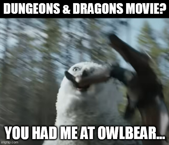 Dungeons & Dragons: Honor Among Thieves | DUNGEONS & DRAGONS MOVIE? YOU HAD ME AT OWLBEAR... | image tagged in owlbear,dndhat,dungeons and dragons | made w/ Imgflip meme maker