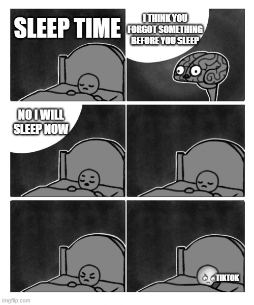 i swear this is last time | I THINK YOU FORGOT SOMETHING BEFORE YOU SLEEP; SLEEP TIME; NO I WILL SLEEP NOW; TIKTOK | image tagged in stop it i'm trying to sleep brain | made w/ Imgflip meme maker