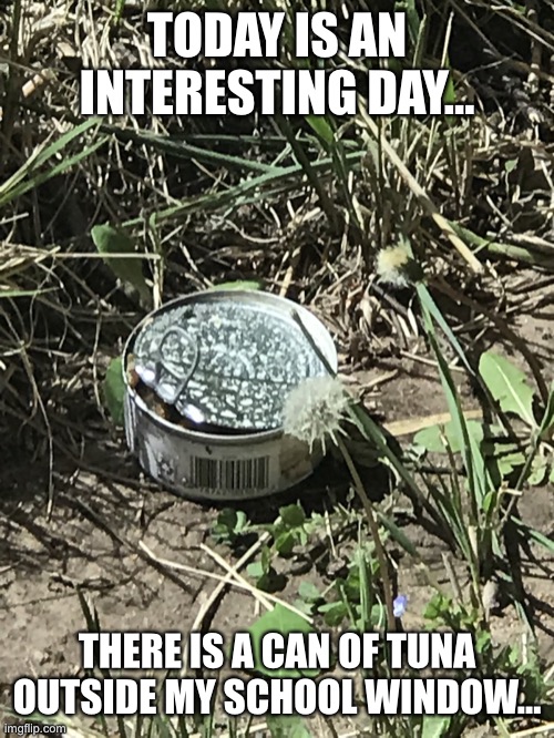 Tuna!! | TODAY IS AN INTERESTING DAY…; THERE IS A CAN OF TUNA OUTSIDE MY SCHOOL WINDOW… | image tagged in tuna on the ground | made w/ Imgflip meme maker