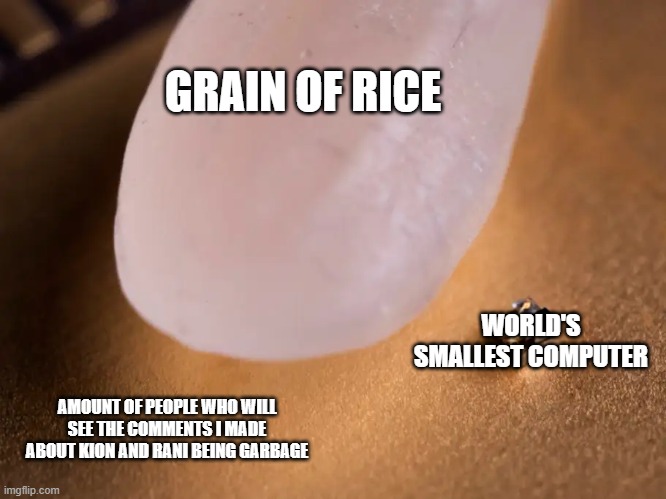 worlds smallest computer | GRAIN OF RICE; WORLD'S SMALLEST COMPUTER; AMOUNT OF PEOPLE WHO WILL SEE THE COMMENTS I MADE ABOUT KION AND RANI BEING GARBAGE | image tagged in worlds smallest computer | made w/ Imgflip meme maker