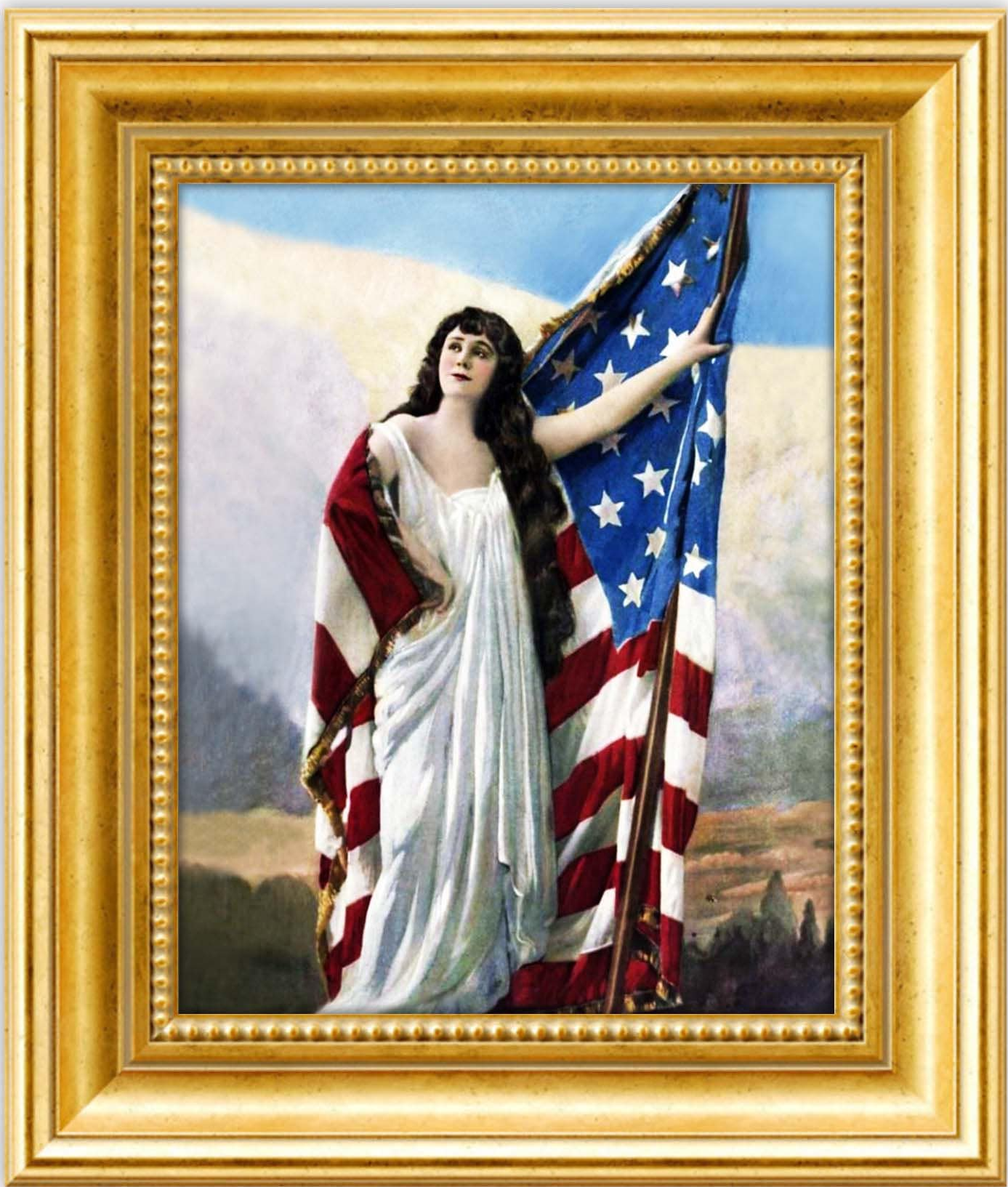 High Quality Liberty USA America Flag art portrait Blank Meme Template