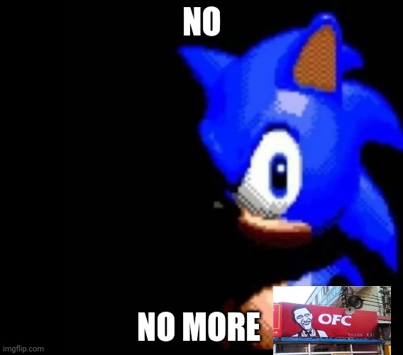 Sonic stares | NO; NO MORE | image tagged in sonic stares | made w/ Imgflip meme maker