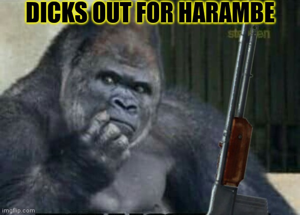 DICKS OUT FOR HARAMBE | made w/ Imgflip meme maker
