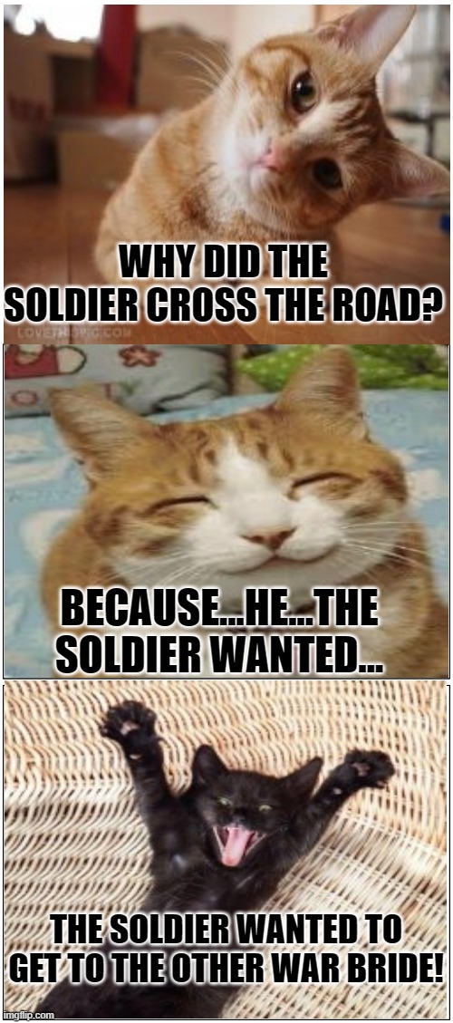 Bad Pun Cat 4 | WHY DID THE SOLDIER CROSS THE ROAD? BECAUSE...HE...THE SOLDIER WANTED... THE SOLDIER WANTED TO GET TO THE OTHER WAR BRIDE! | image tagged in memes,cats,cat memes,funny memes,funny,humor | made w/ Imgflip meme maker