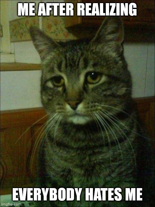 Depressed Cat |  ME AFTER REALIZING; EVERYBODY HATES ME | image tagged in memes,depressed cat | made w/ Imgflip meme maker