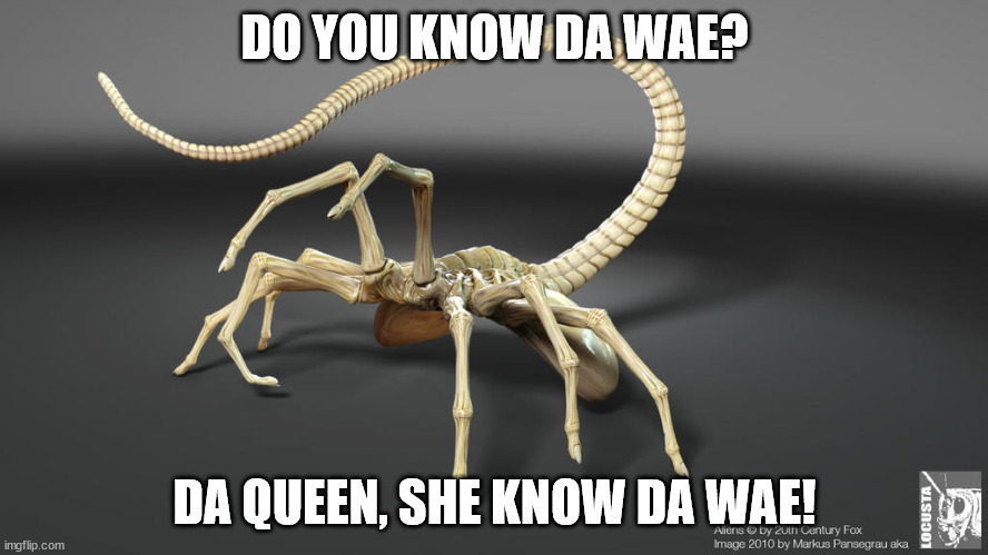 Da Wae | DO YOU KNOW DA WAE? DA QUEEN, SHE KNOW DA WAE! | image tagged in da wae,do you know da wae | made w/ Imgflip meme maker