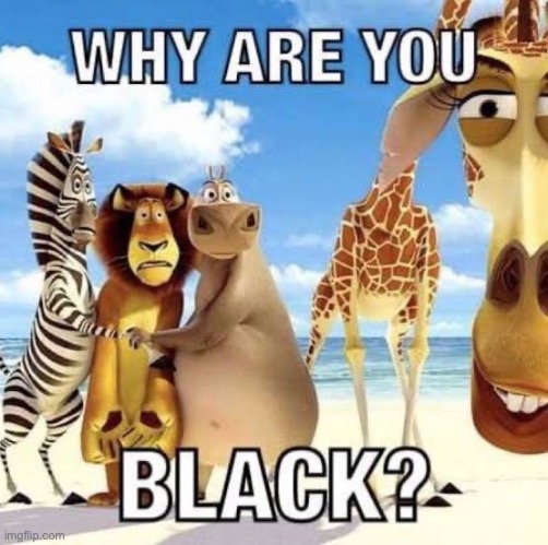 Madagascar | image tagged in madagascar | made w/ Imgflip meme maker