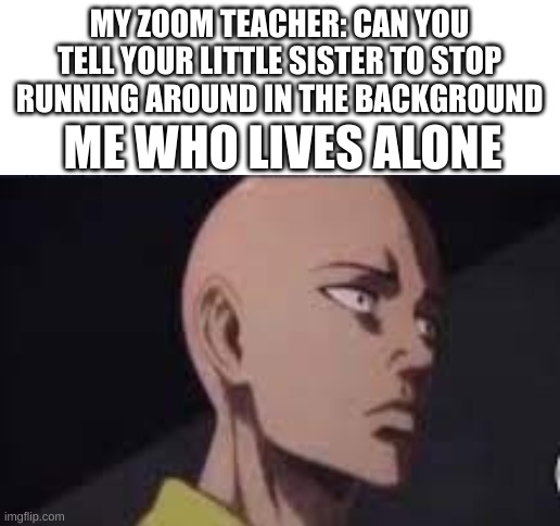  MY ZOOM TEACHER: CAN YOU TELL YOUR LITTLE SISTER TO STOP RUNNING AROUND IN THE BACKGROUND; ME WHO LIVES ALONE | image tagged in blank white template,saitama - one punch man anime,one punch man | made w/ Imgflip meme maker