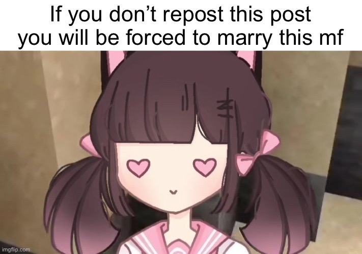 Meowmid | If you don’t repost this post you will be forced to marry this mf | image tagged in meowmid | made w/ Imgflip meme maker