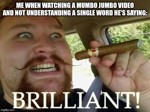 brilliant! | ME WHEN WATCHING A MUMBO JUMBO VIDEO AND NOT UNDERSTANDING A SINGLE WORD HE'S SAYING: | image tagged in brilliant | made w/ Imgflip meme maker