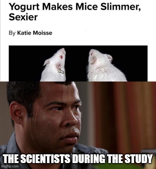 THE SCIENTISTS DURING THE STUDY | image tagged in sweating bullets | made w/ Imgflip meme maker