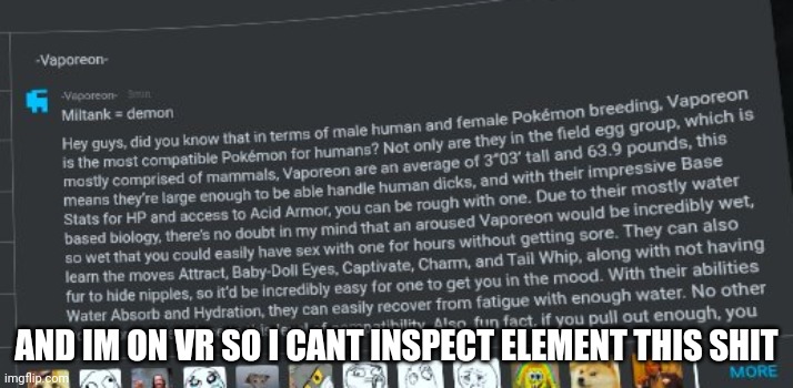 AND IM ON VR SO I CANT INSPECT ELEMENT THIS SHIT | made w/ Imgflip meme maker