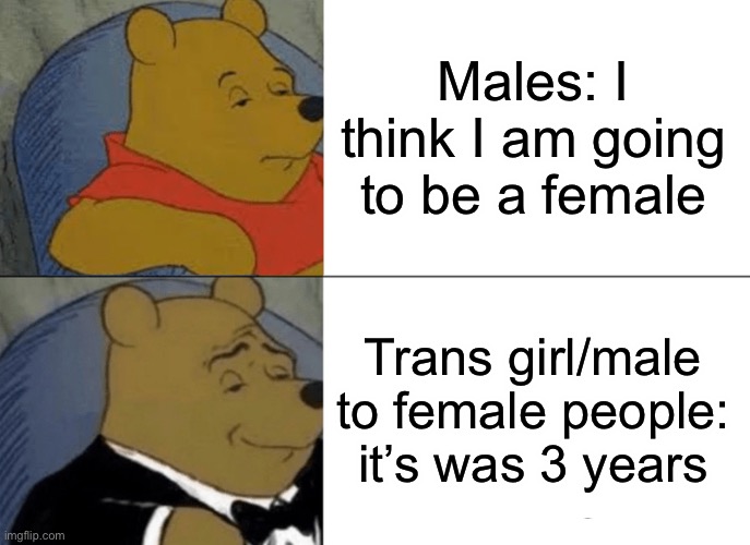 Trans people be like: | Males: I think I am going to be a female; Trans girl/male to female people: it’s was 3 years | image tagged in memes,tuxedo winnie the pooh,transgender | made w/ Imgflip meme maker