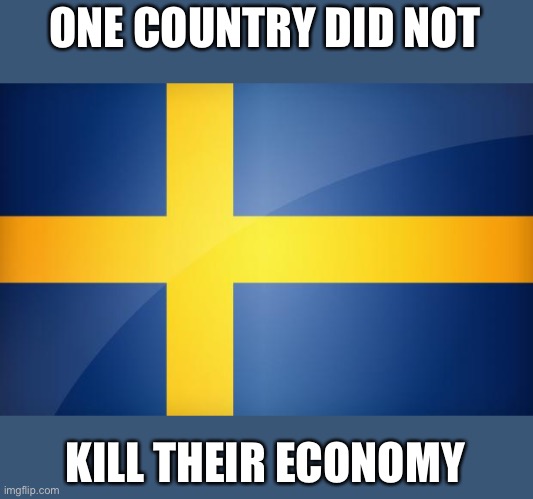 Sweden Flag | ONE COUNTRY DID NOT KILL THEIR ECONOMY | image tagged in sweden flag | made w/ Imgflip meme maker
