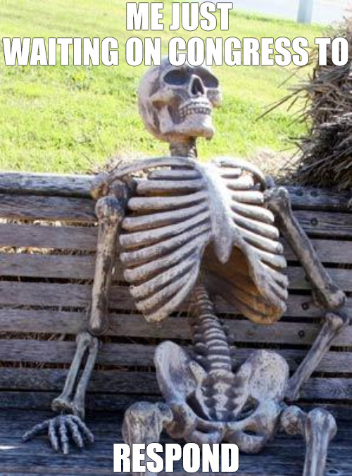 the politicians always believe in patience | ME JUST WAITING ON CONGRESS TO; RESPOND | image tagged in memes,waiting skeleton | made w/ Imgflip meme maker