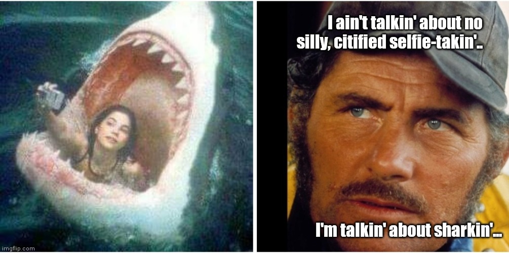 Here's to swimmin' with swallowed-whole wimmin | I ain't talkin' about no silly, citified selfie-takin'.. I'm talkin' about sharkin'... | image tagged in funny | made w/ Imgflip meme maker