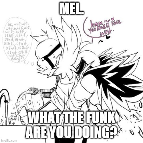 MEL. WHAT THE FUNK ARE YOU DOING? | made w/ Imgflip meme maker
