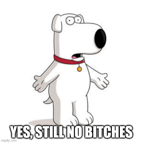 Family Guy Brian Meme | YES, STILL NO BITCHES | image tagged in memes,family guy brian | made w/ Imgflip meme maker