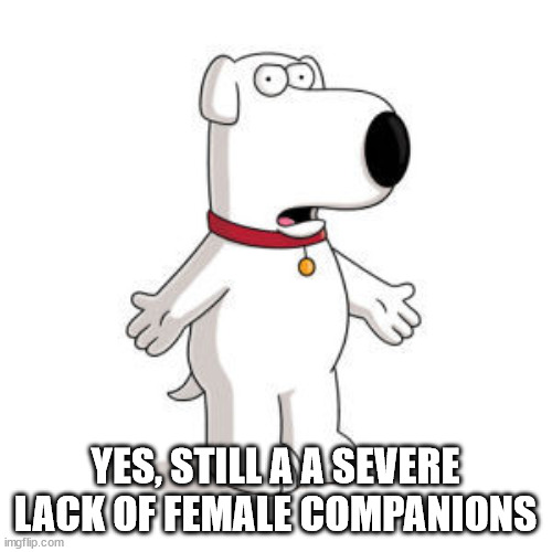 Family Guy Brian Meme | YES, STILL A A SEVERE LACK OF FEMALE COMPANIONS | image tagged in memes,family guy brian | made w/ Imgflip meme maker