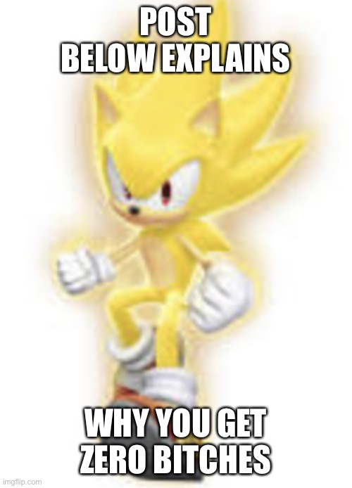 Low quality super sonic | POST BELOW EXPLAINS; WHY YOU GET ZERO BITCHES | image tagged in low quality super sonic | made w/ Imgflip meme maker