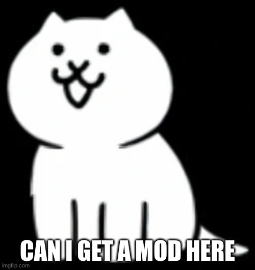 yeyeyeyeyeyeyyeyeye | CAN I GET A MOD HERE | image tagged in modern cat my beloved,cat,mod,memes,funny,meow | made w/ Imgflip meme maker